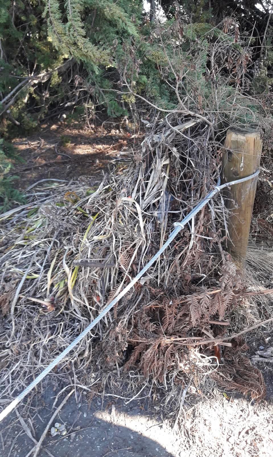 The photograph attached to this parks report