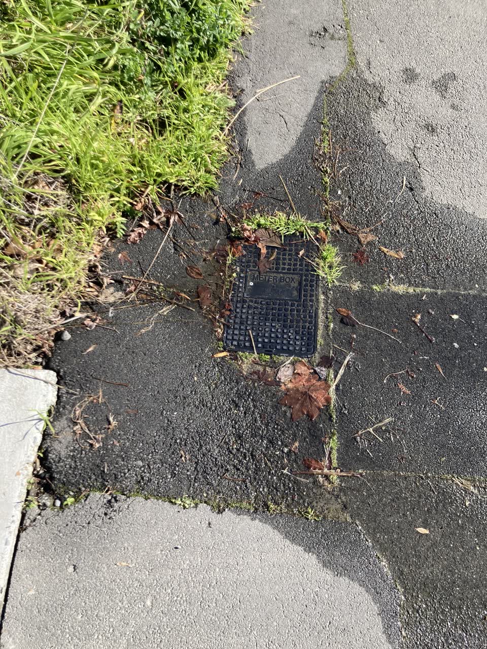 The photograph attached to this water leak report