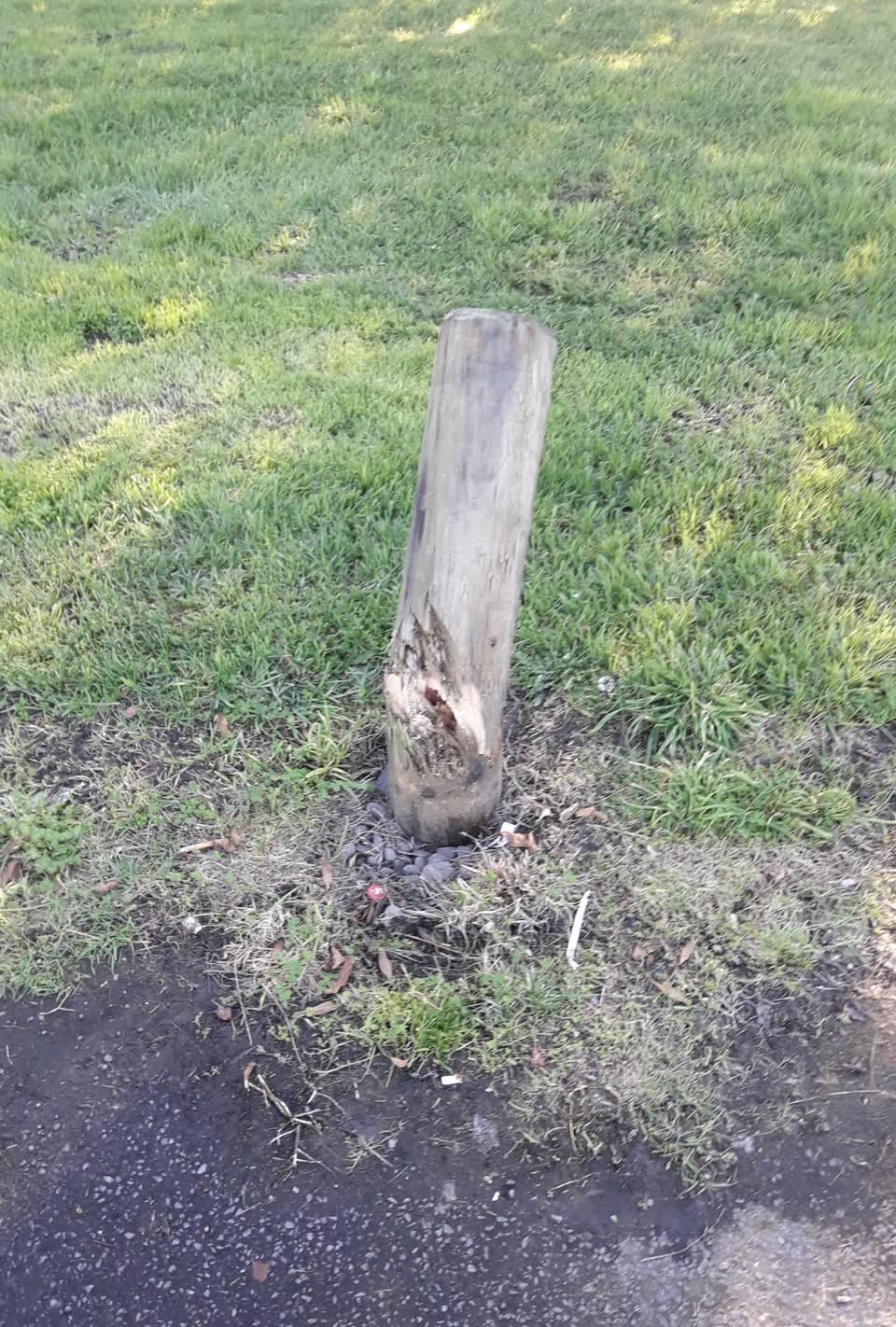 The photograph attached to this parks report