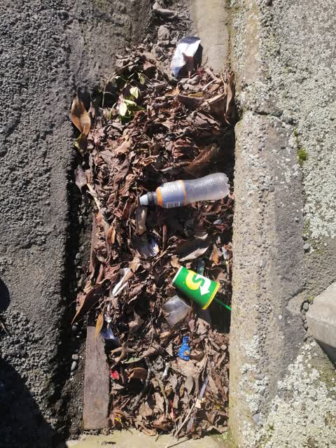 Roading/Streets, a report photo