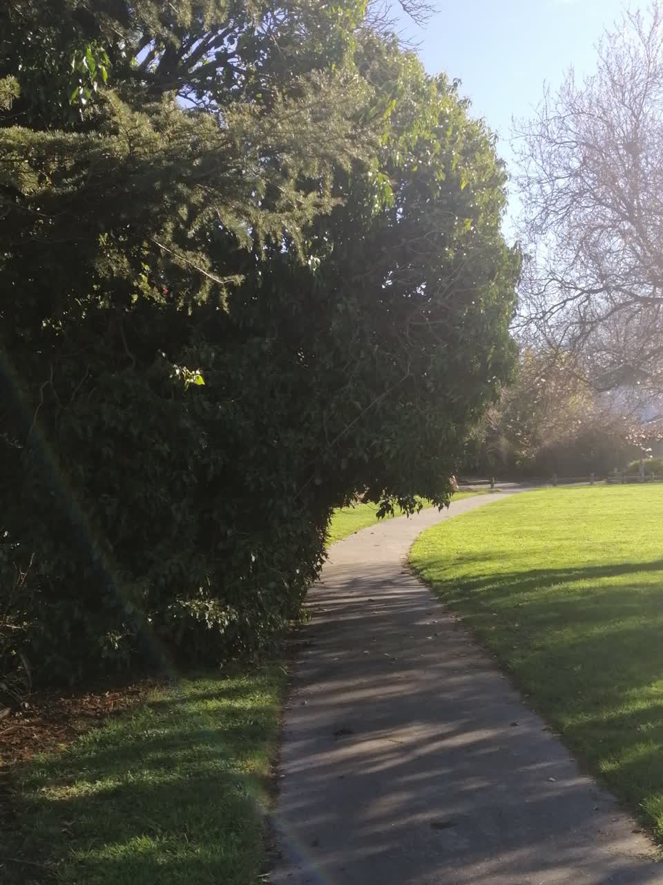 The photograph attached to this parks report