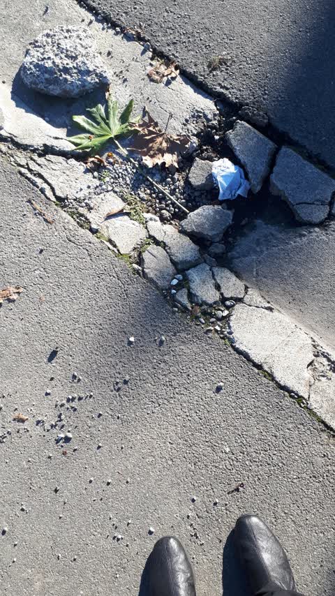 Roading/Streets, a report photo