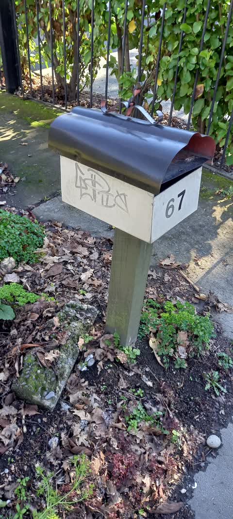 Graffiti, a report photo