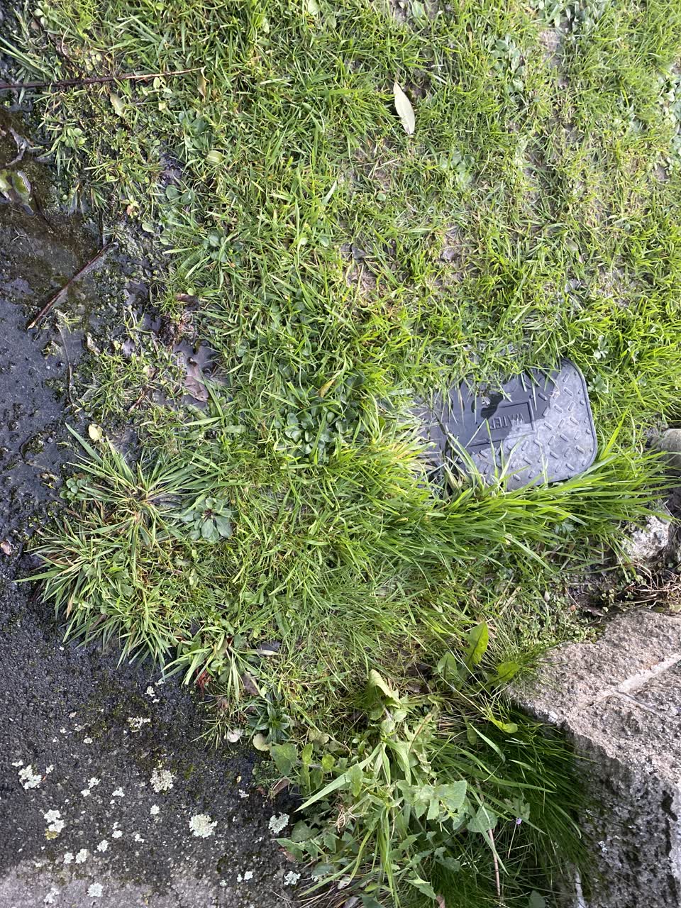 The photograph attached to this water leak report