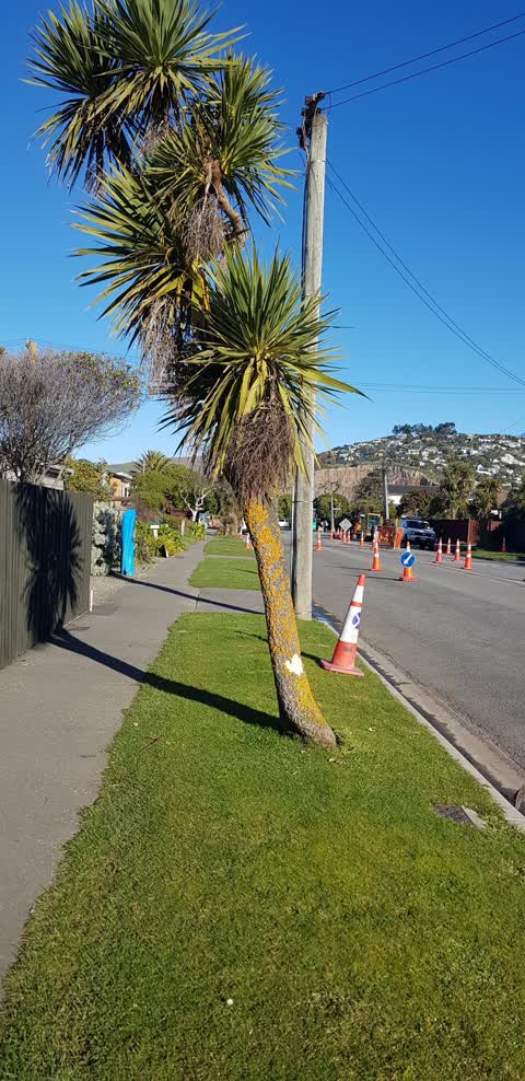 Roading/Streets, a report photo