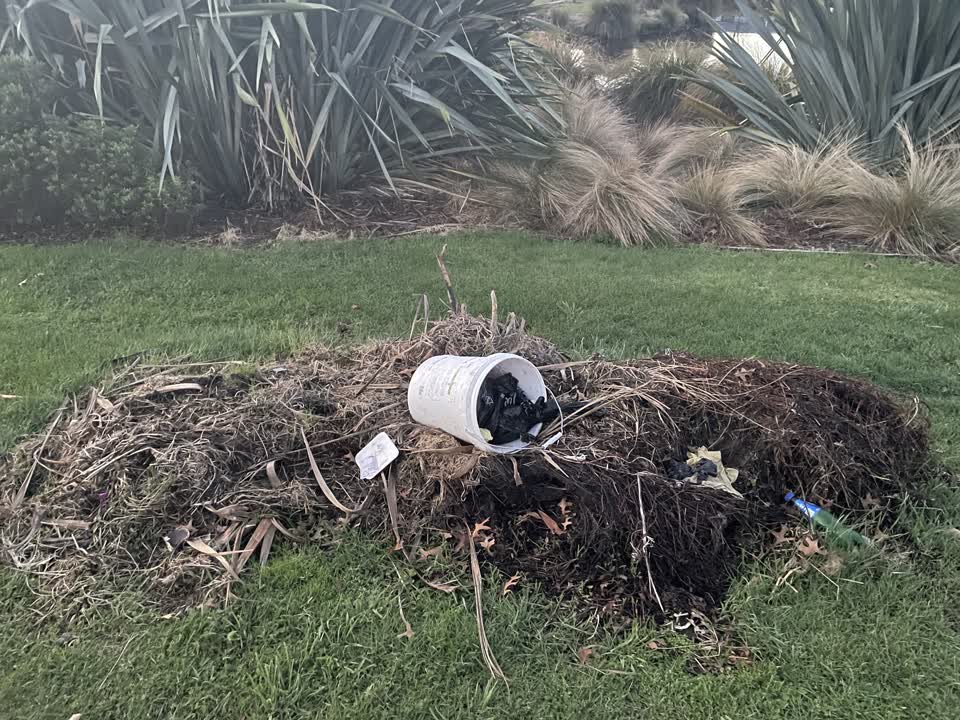 The photograph attached to this parks report