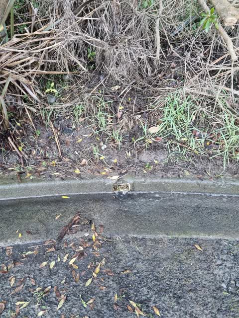 Wastewater/Stormwater, a report photo