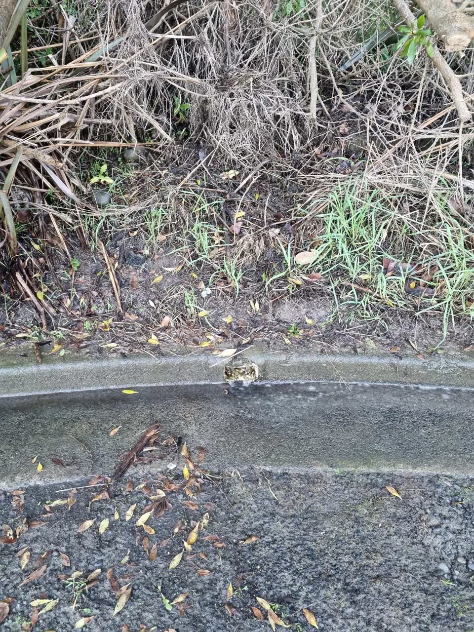 The photograph attached to this wastewater/stormwater report
