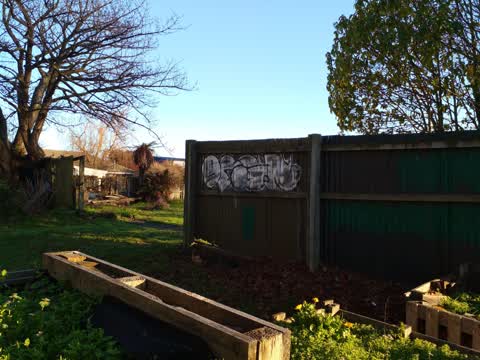 Graffiti, a report photo