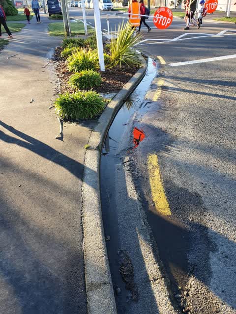 Water Leak, a report photo