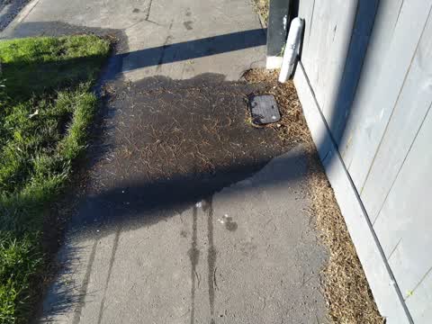 Water Leak, a report photo