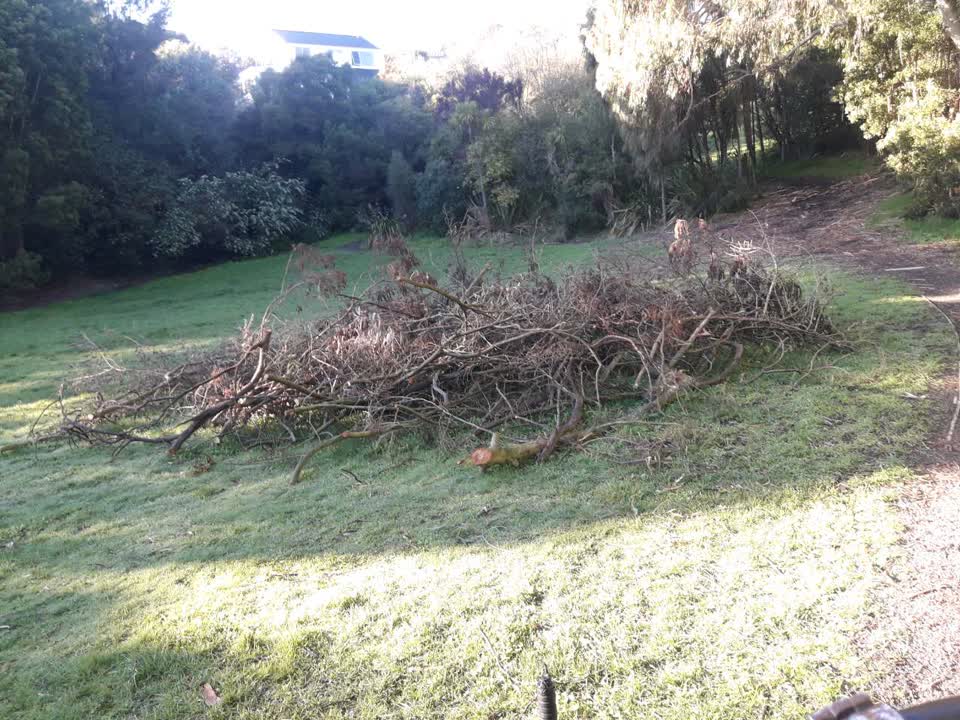 The photograph attached to this parks report