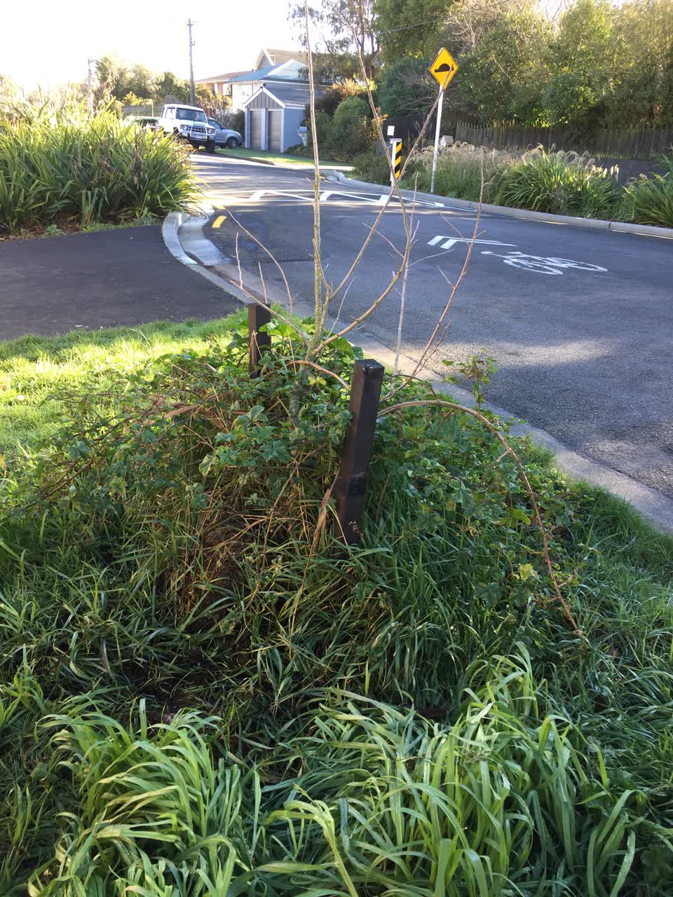 The photograph attached to this parks report