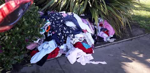 Rubbish/Recycling — a report photo