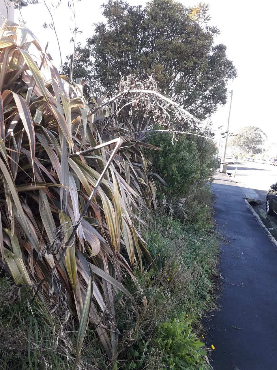 The photograph attached to this roading/streets report
