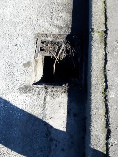 Roading/Streets, a report photo