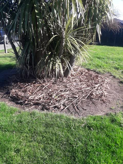 Parks, a report photo