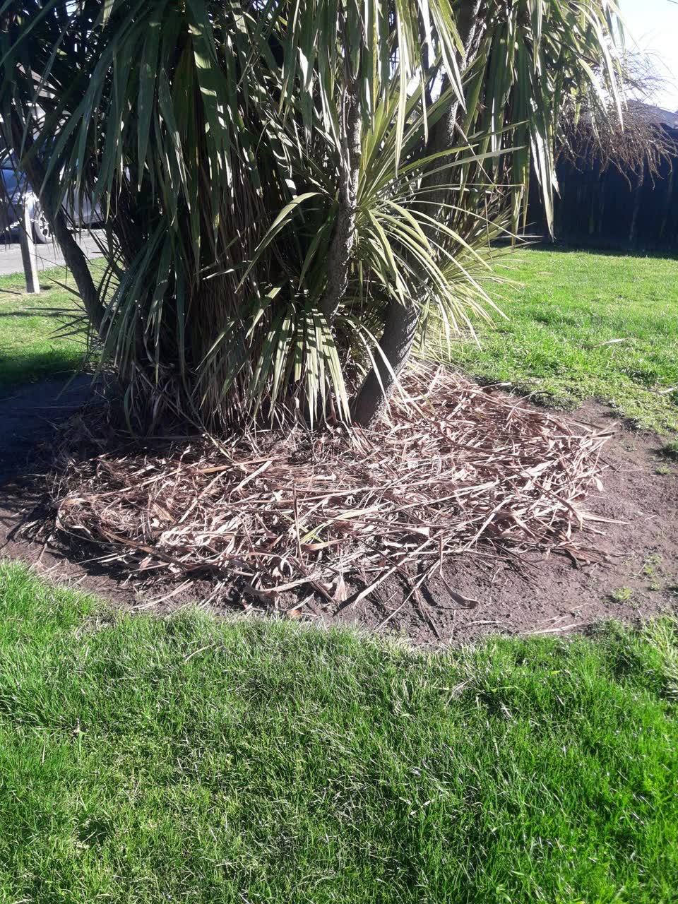 The photograph attached to this parks report