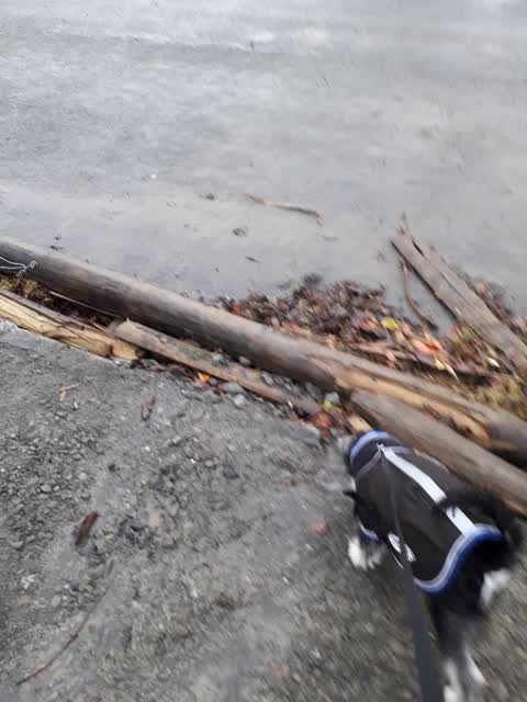 Wastewater/Stormwater, a report photo