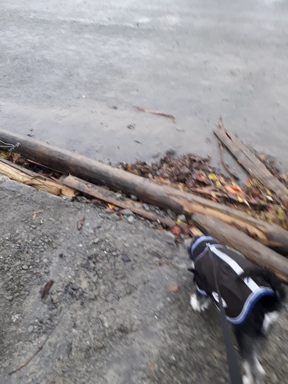 The photograph attached to this wastewater/stormwater report