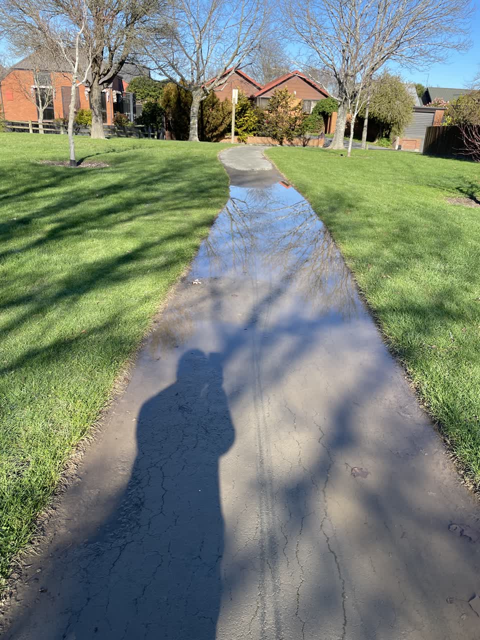 The photograph attached to this parks report