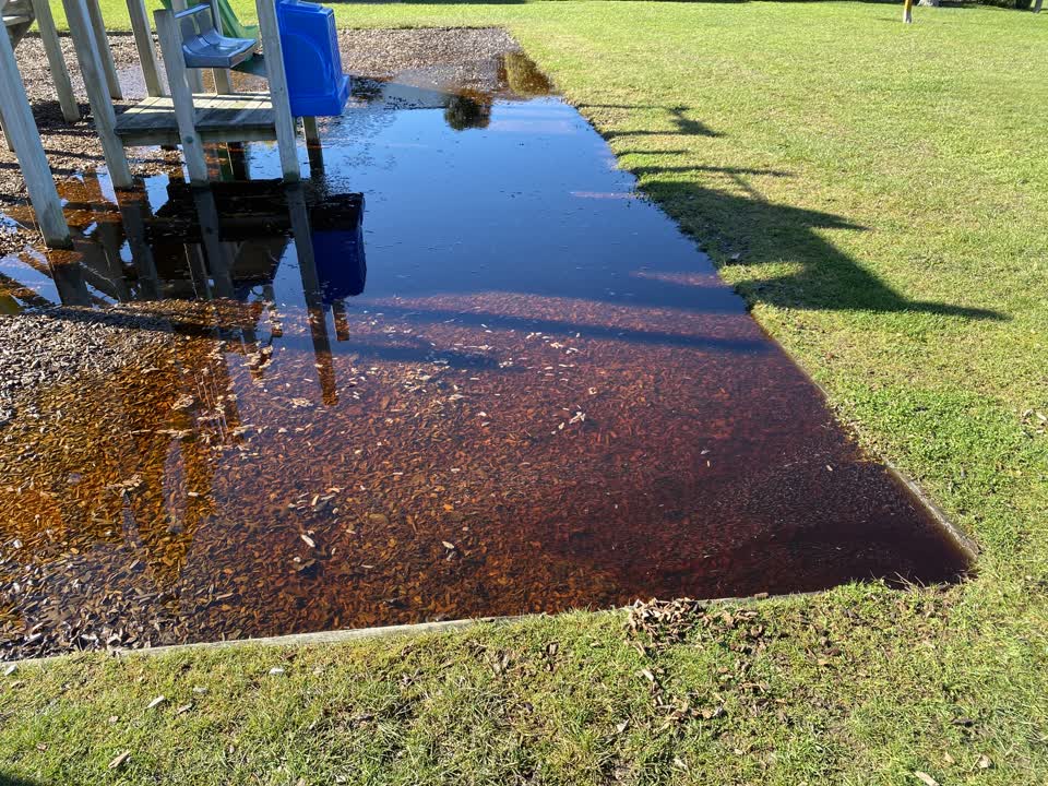 The photograph attached to this parks report