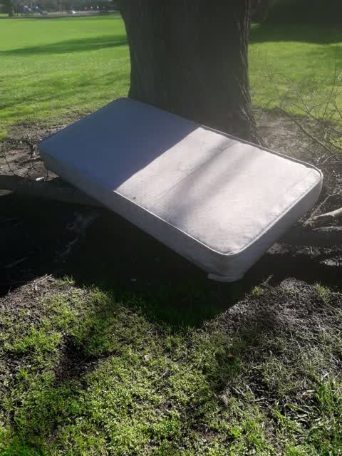 Parks, a report photo
