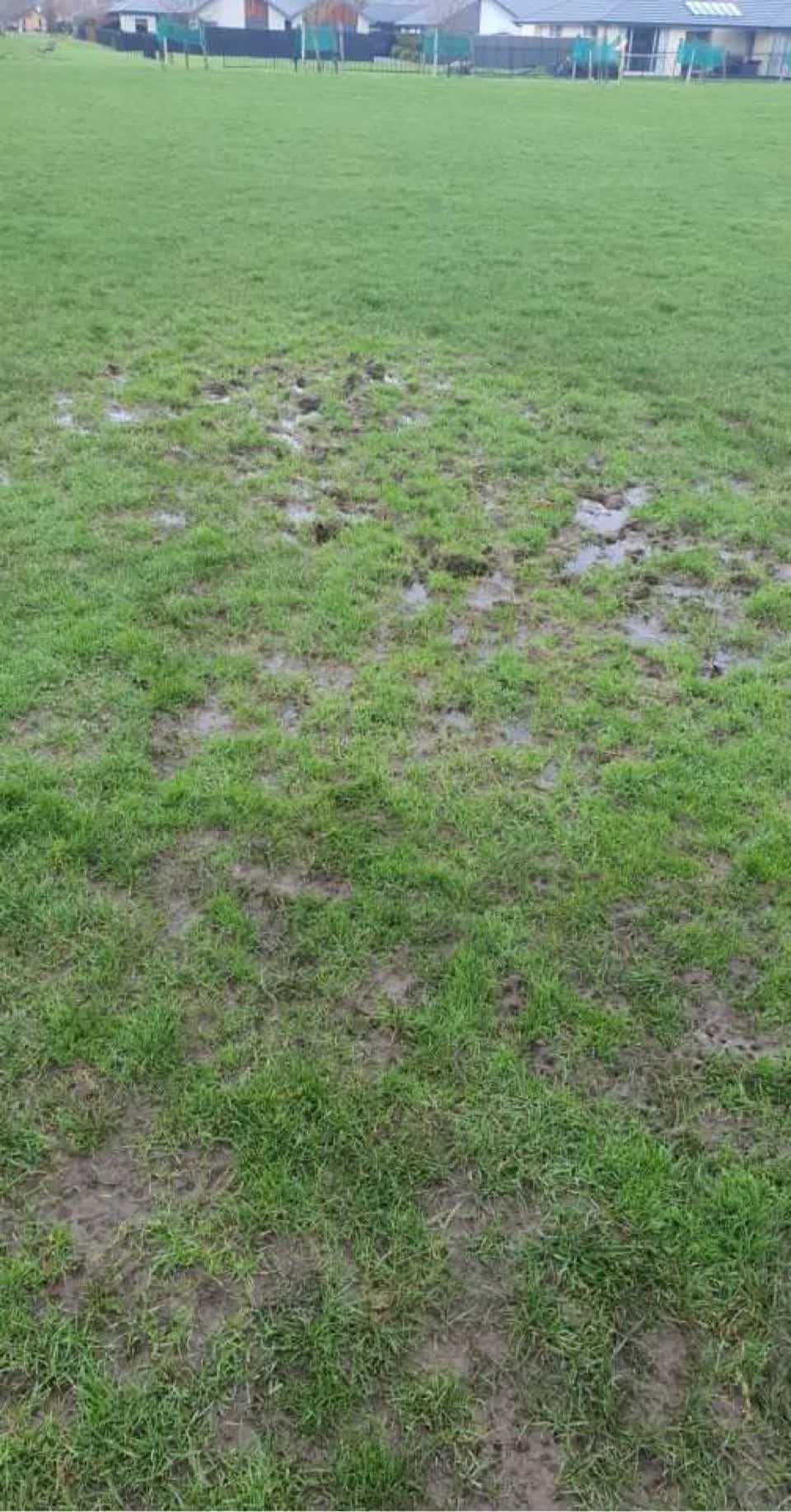 The photograph attached to this parks report