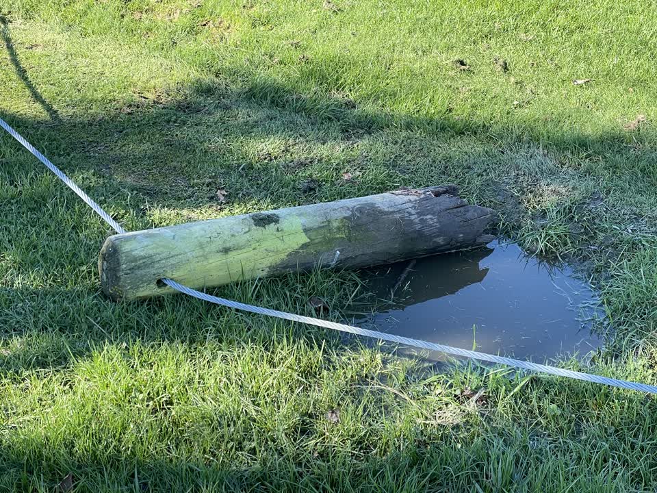 The photograph attached to this parks report