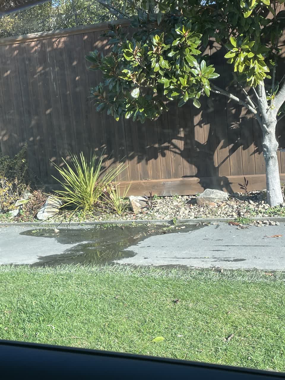 The photograph attached to this water leak report