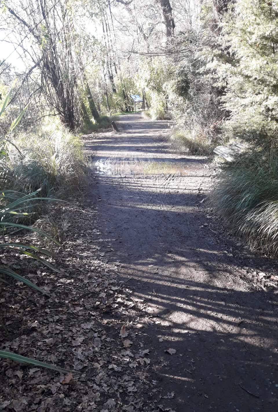 The photograph attached to this parks report