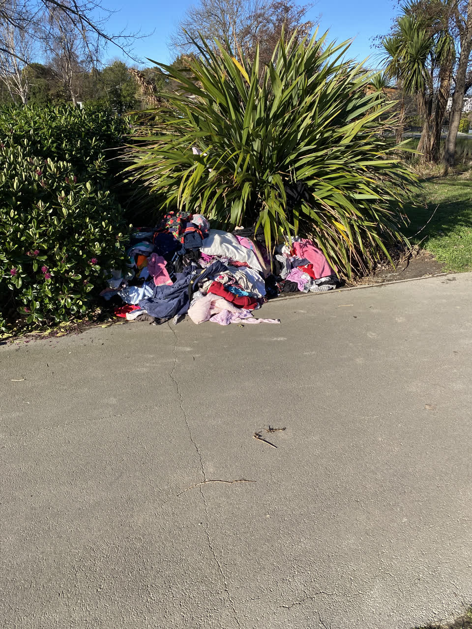 The photograph attached to this rubbish/recycling report