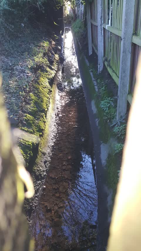 Wastewater/Stormwater — a report photo
