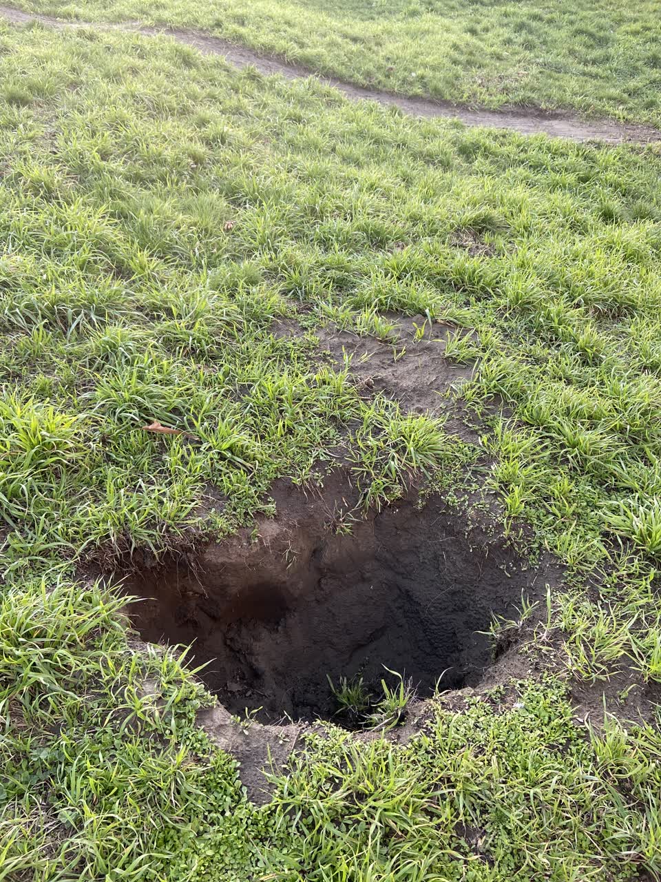 The photograph attached to this parks report