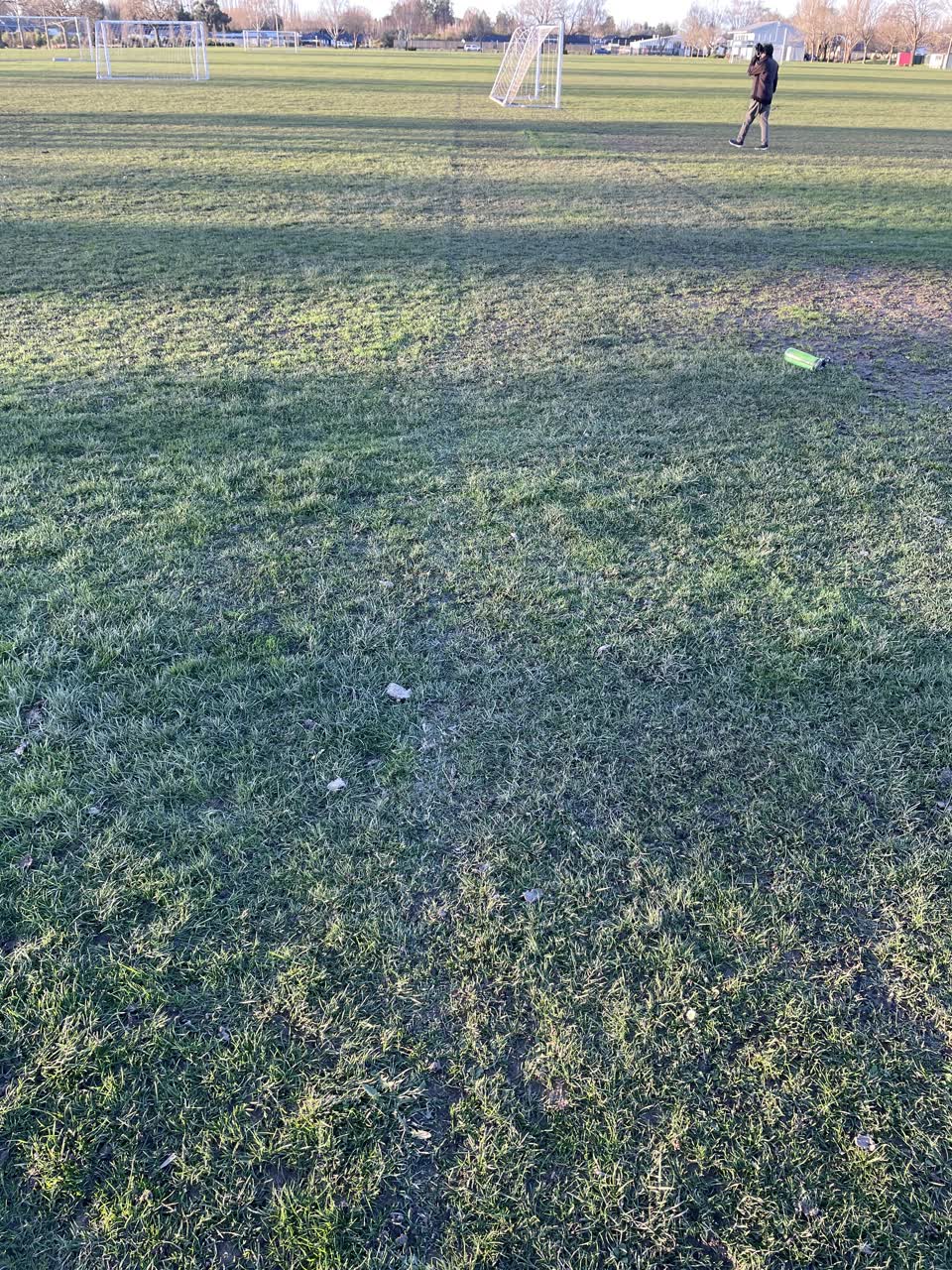 The photograph attached to this parks report
