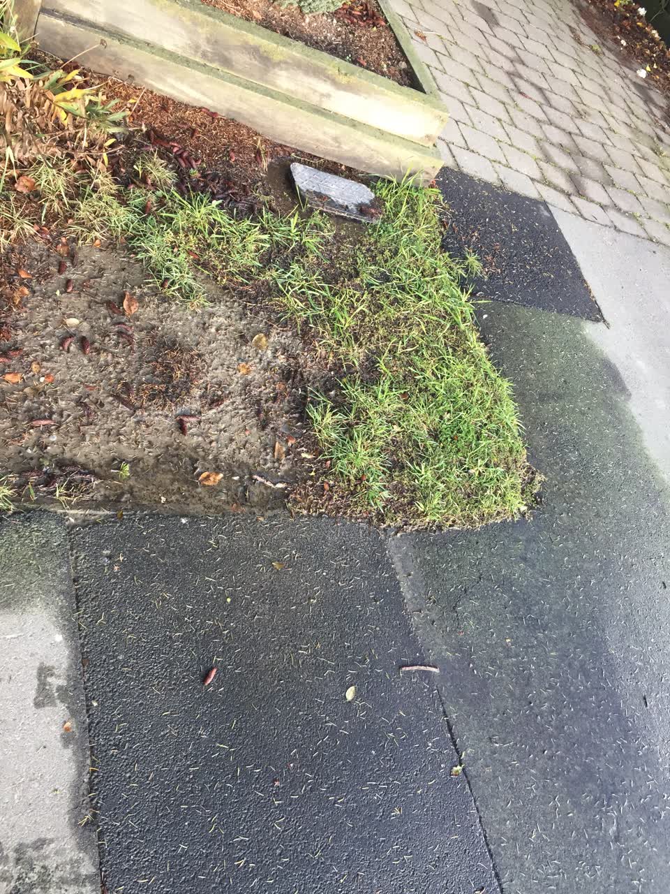 The photograph attached to this water leak report