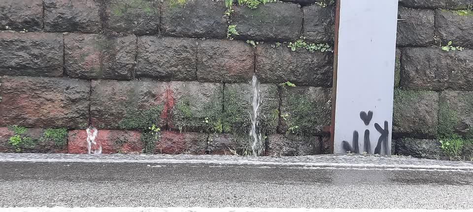 The photograph attached to this water leak report