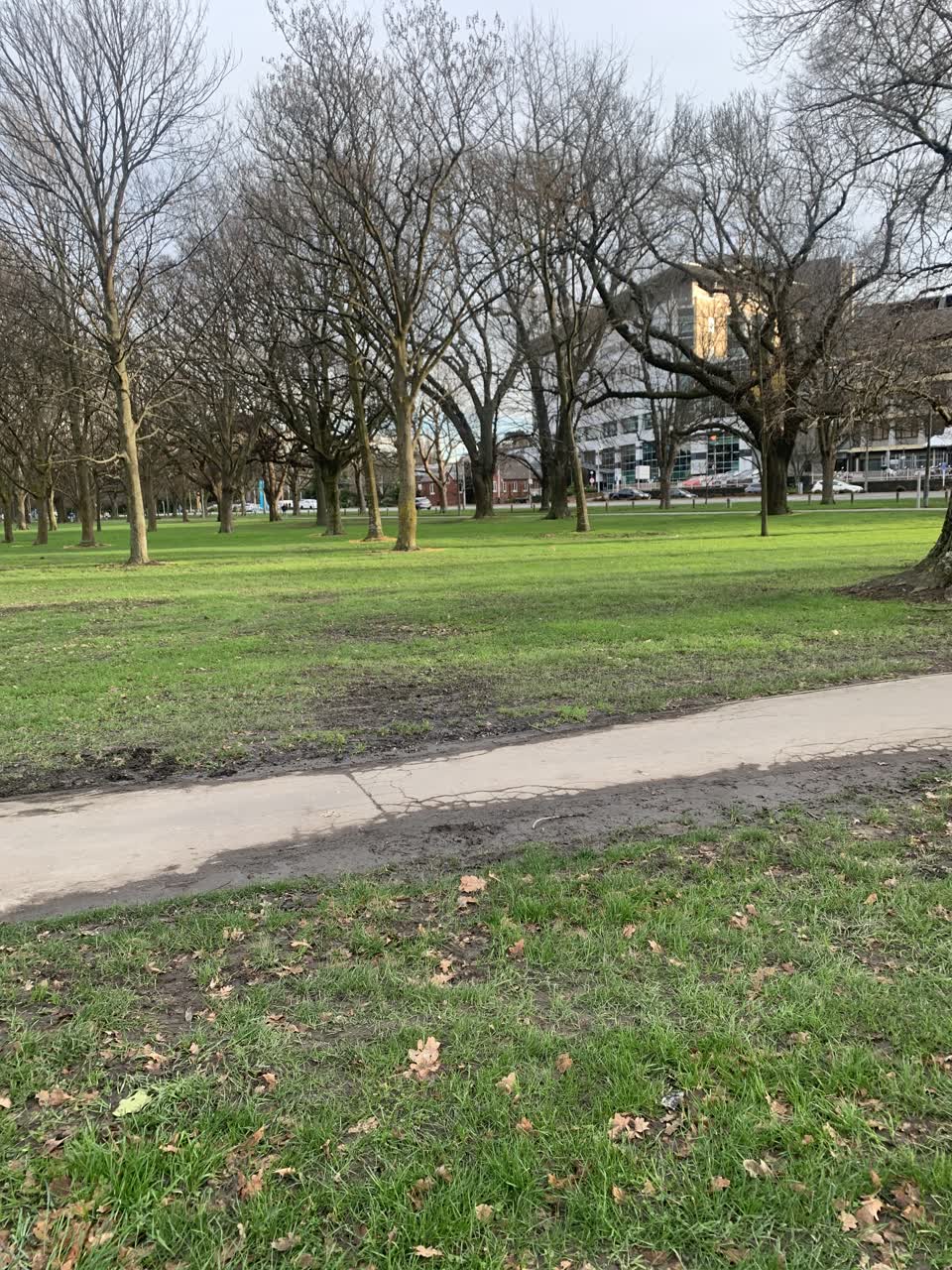 The photograph attached to this parks report