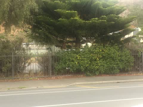 Parks, a report photo