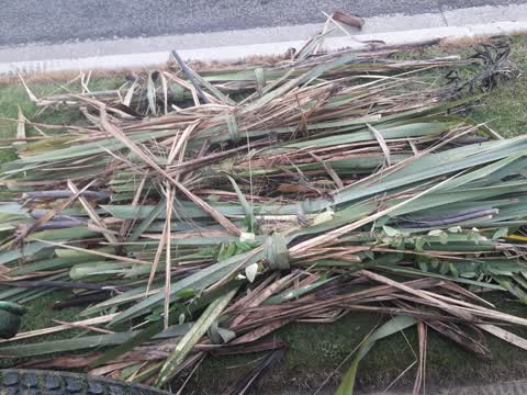 Rubbish/Recycling — a report photo