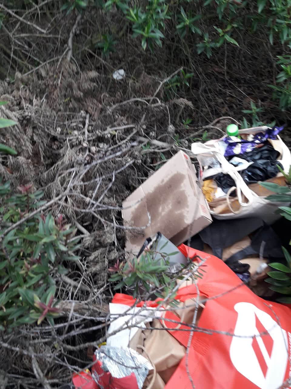 The photograph attached to this parks report