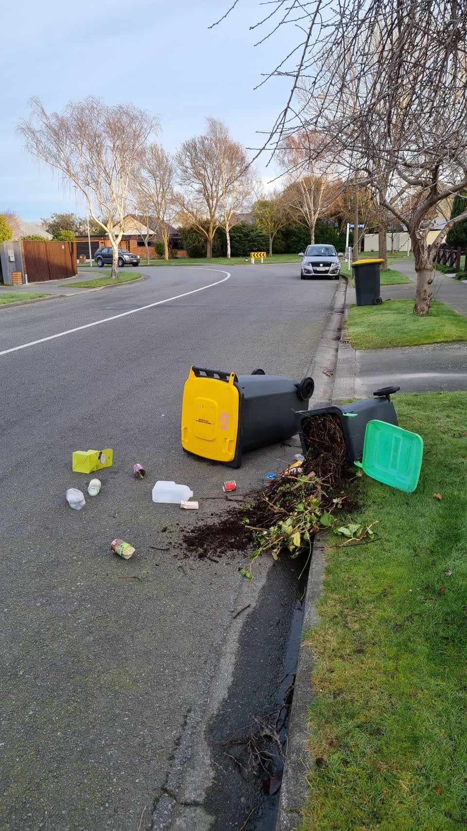 The photograph attached to this rubbish/recycling report