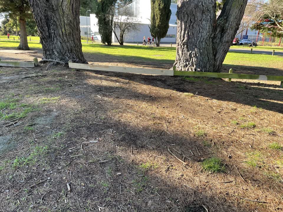The photograph attached to this parks report