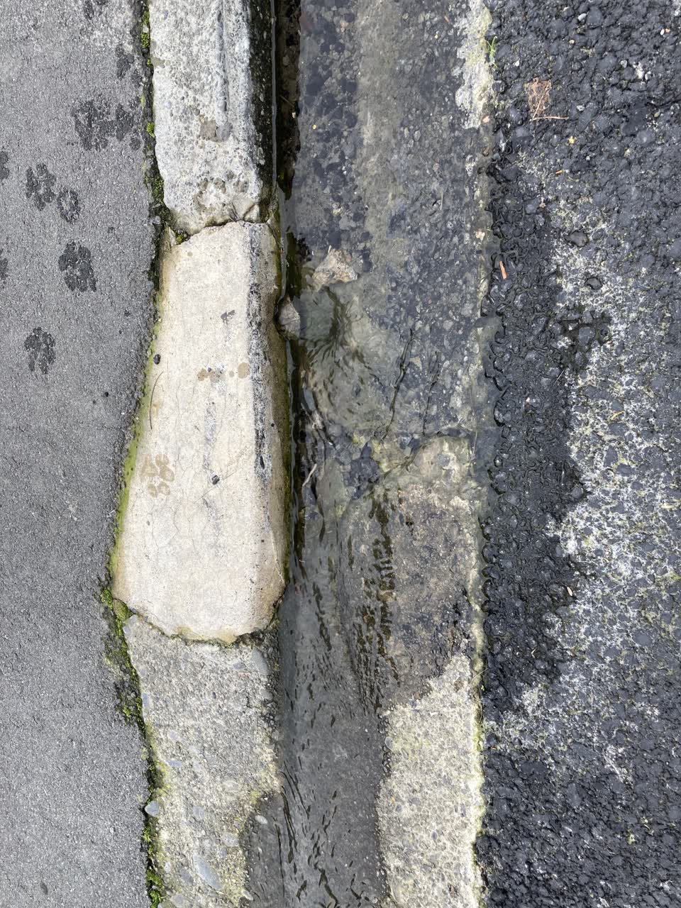 The photograph attached to this water leak report