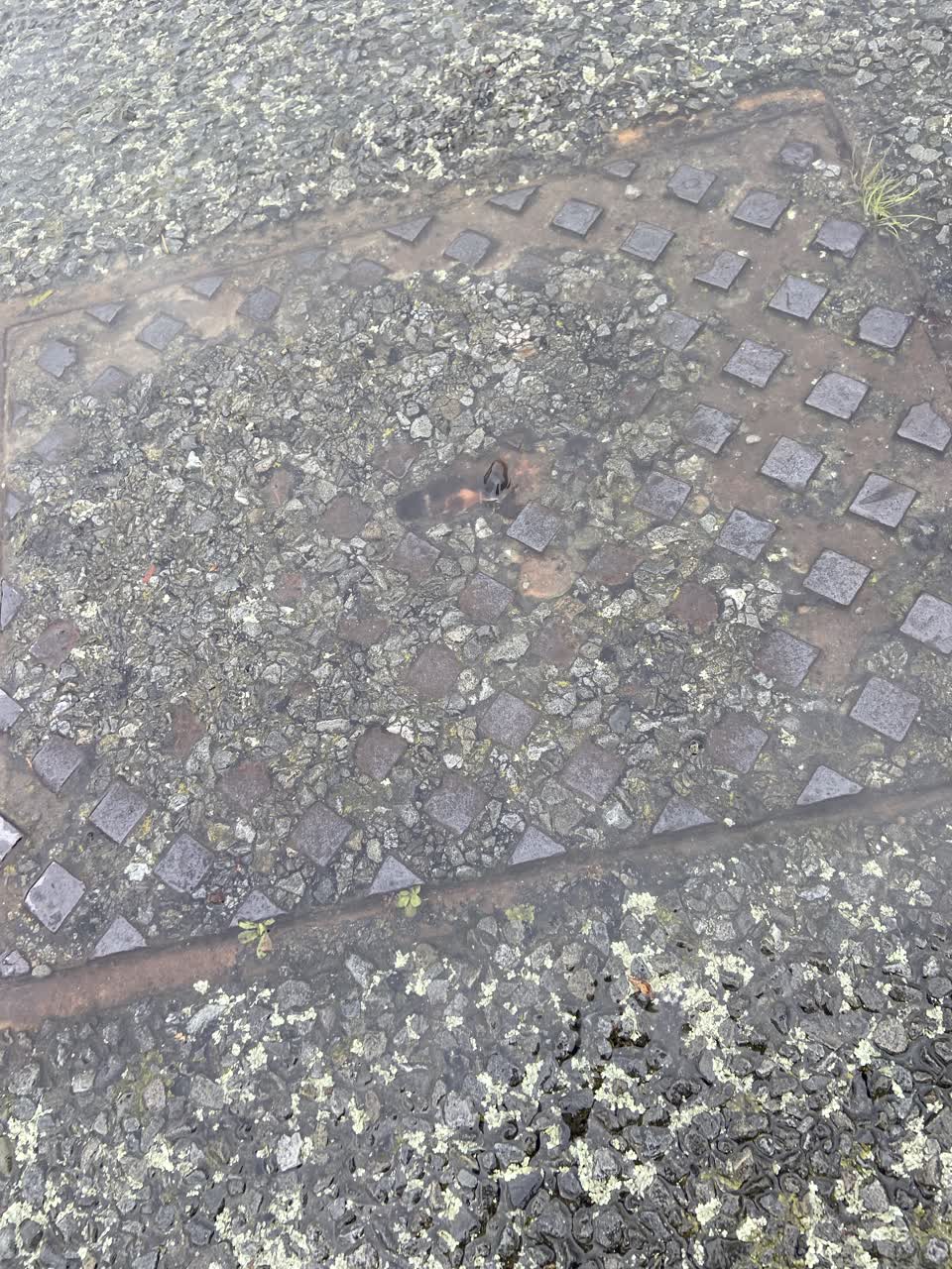 The photograph attached to this water leak report