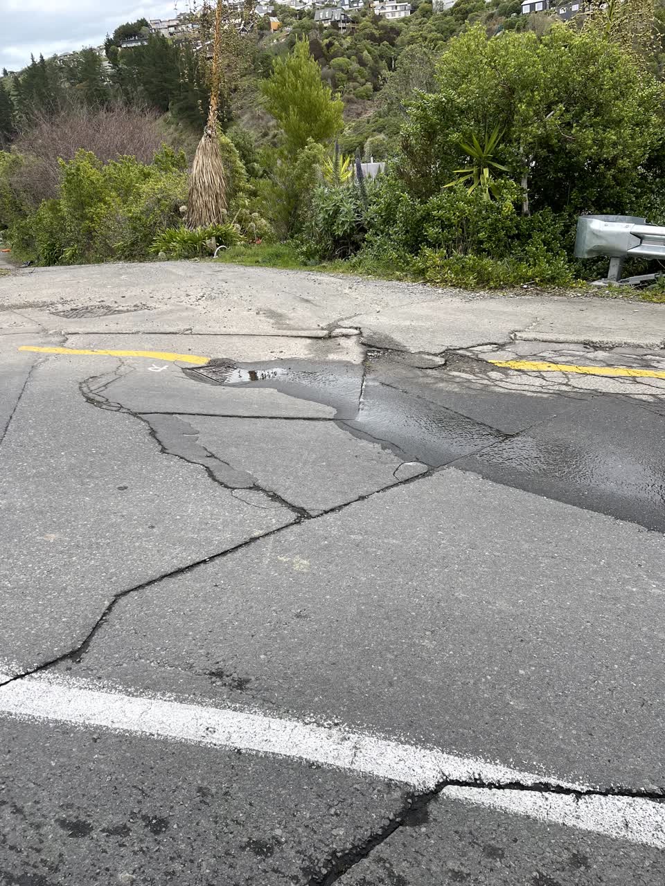 The photograph attached to this water leak report