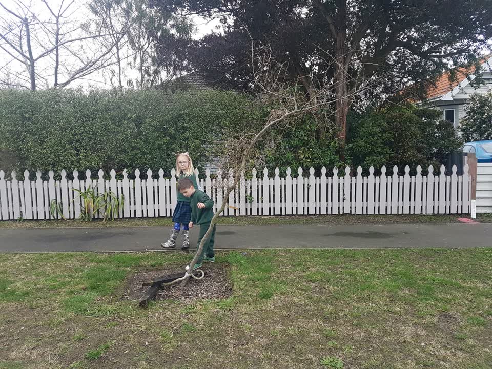 The photograph attached to this parks report
