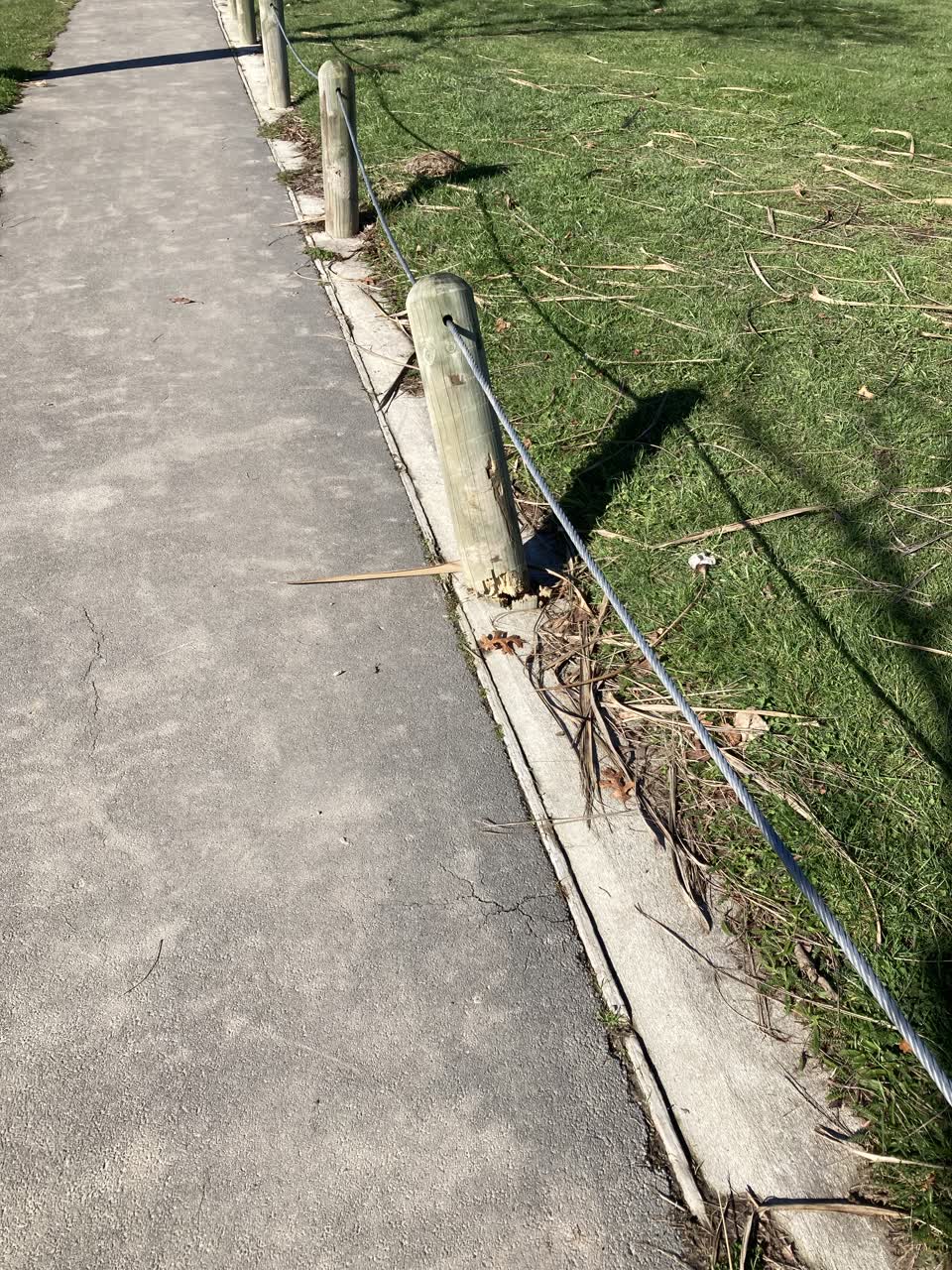 The photograph attached to this parks report