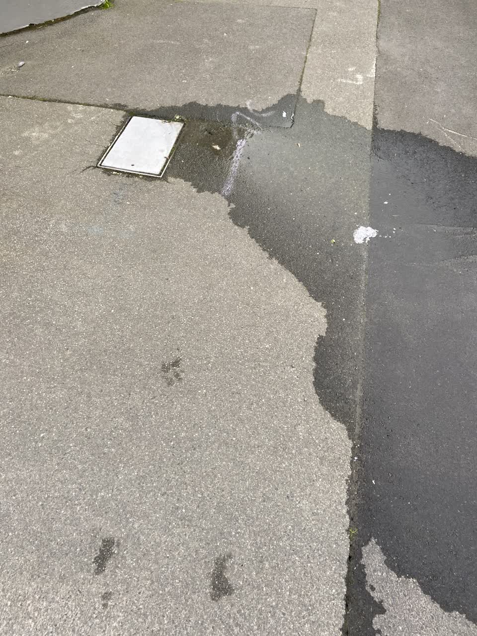 The photograph attached to this water leak report