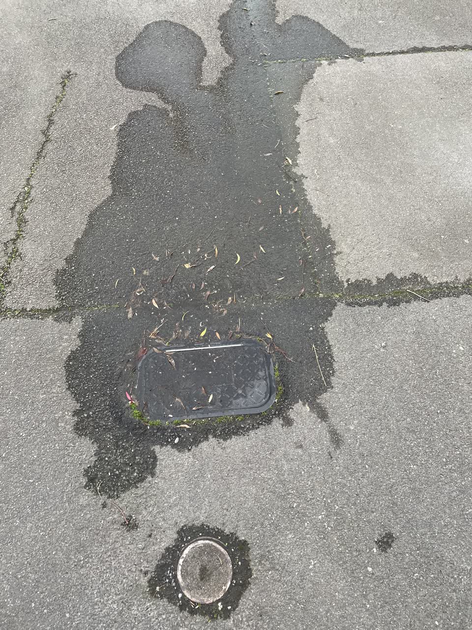 The photograph attached to this water leak report